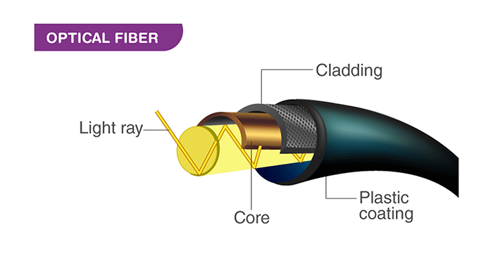 2. Fallout 76 Fiber Optics: Where to Farm and How to Use Them(图1)
