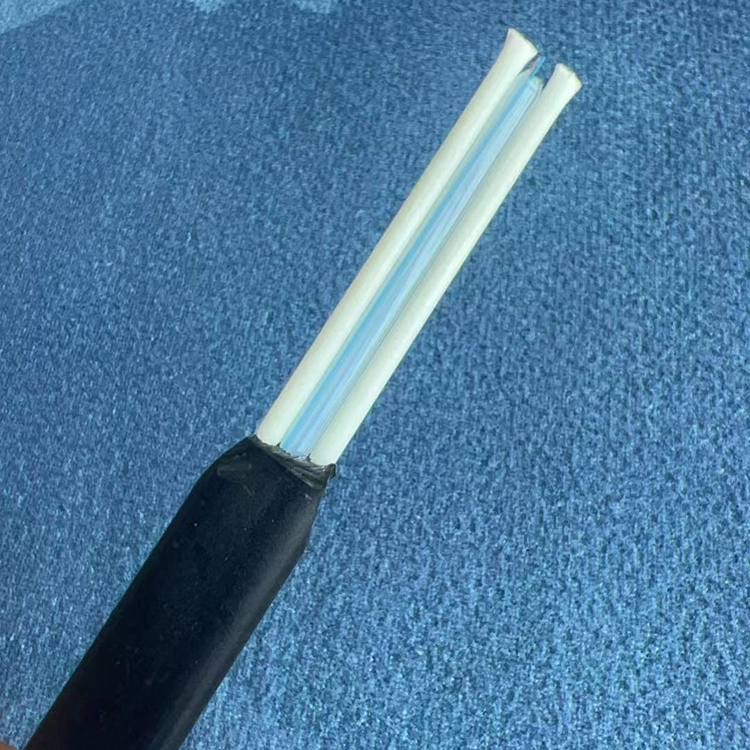 GYFBY/GYFXY 2/4/8/12 cores fiber optic cable G652D/G655C/G657A  Elliptical flat cable (pic1)