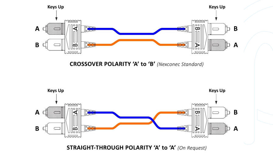 Armored Fiber Optic Patch Cable(pic3)