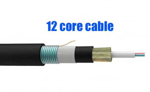 A Comprehensive Guide to 12 Fiber Cables: Types, Applications, and Buying Recomm